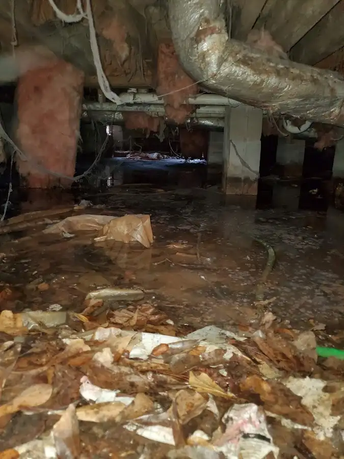 Crawl space flood assessment for Commercial Water Damage Restoration in South Pasadena