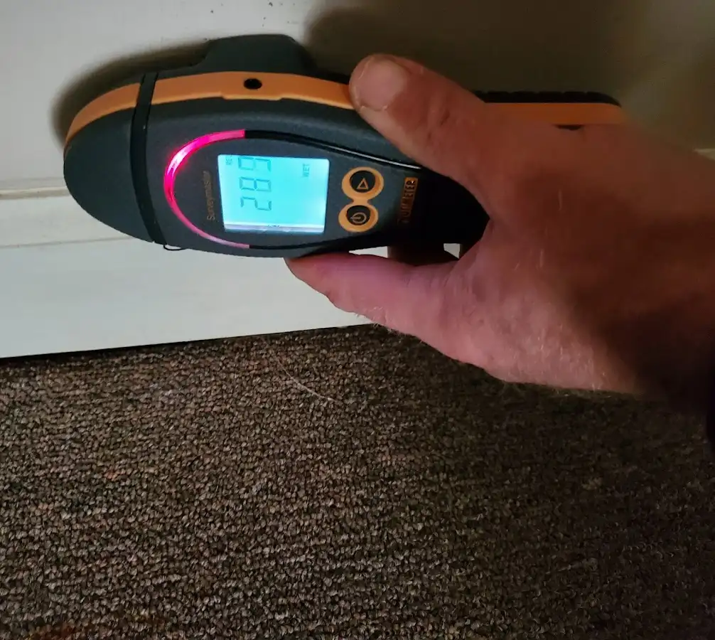 Moisture detection at baseboard during Mold Inspection & Testing in South Pasadena